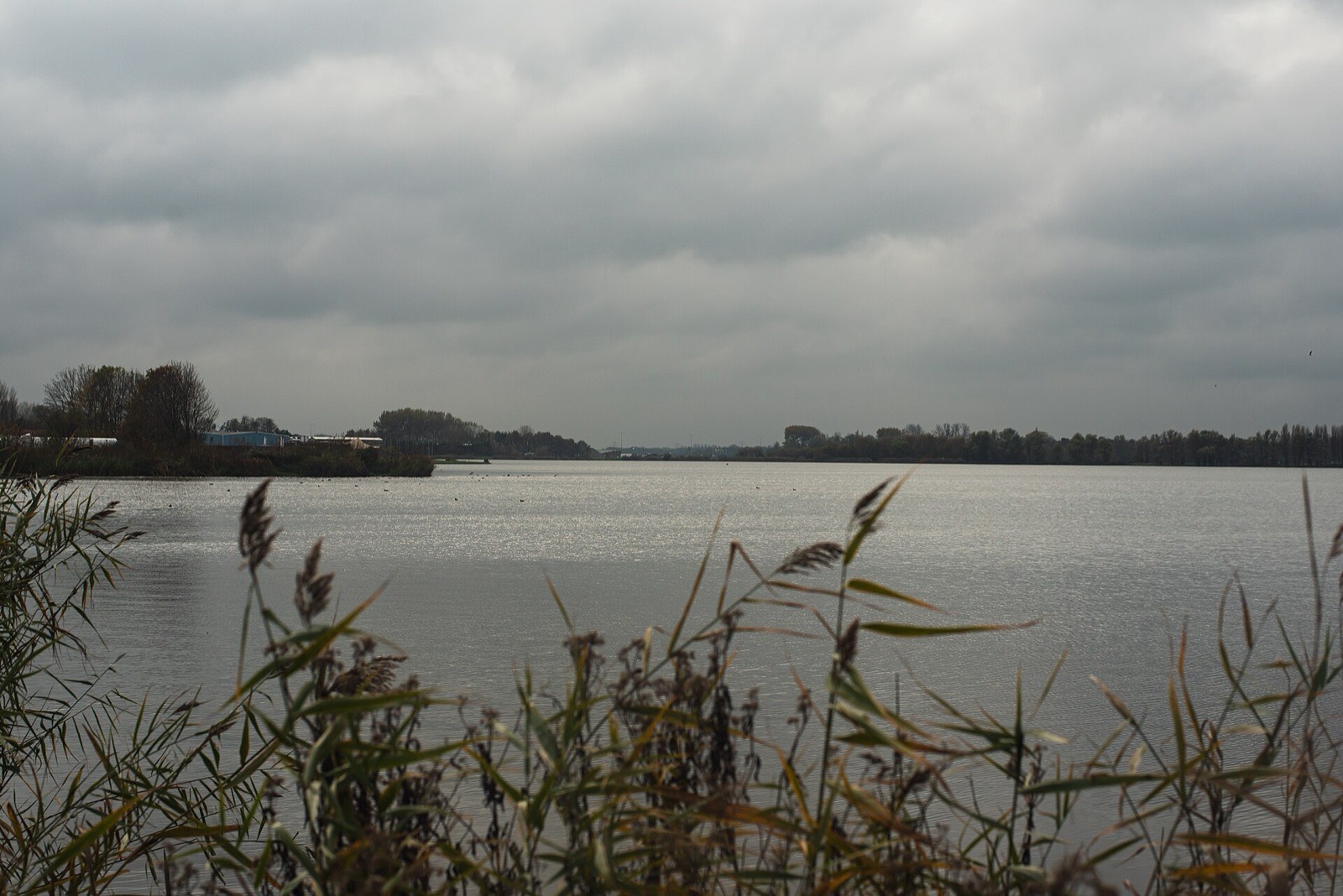 De Valkenburgse Meer onder een grijze lucht